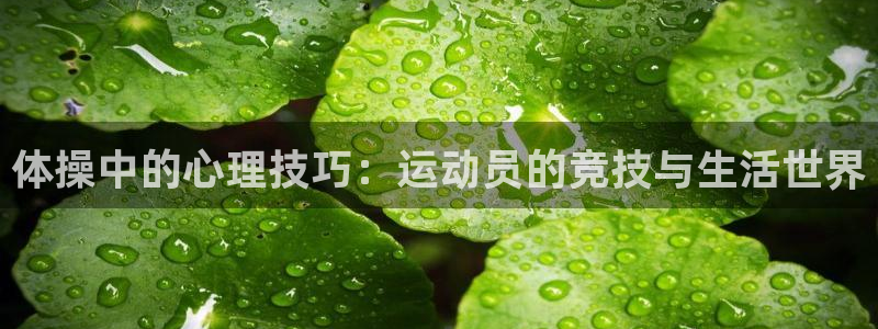 米兰体育官方平台体育:体操中的心理技巧:运动员的竞技与生活世