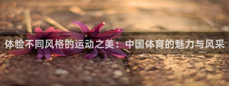 米兰体育官网下载招商电话号码:体验不同风格的运动之美:中国体