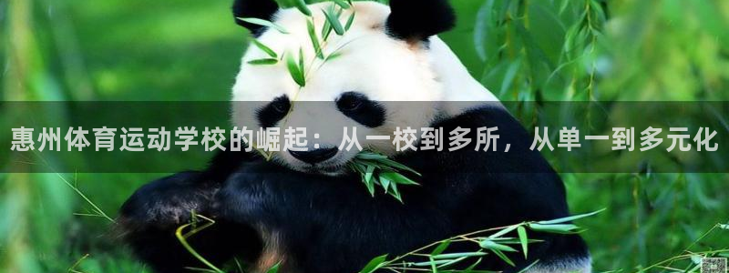 米兰体育官网下载平台注册要钱吗:惠州体育运动学校的崛起:从一