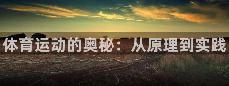 米兰体育官网下载招商电话号码是多少号:体育运动的奥秘:从原理